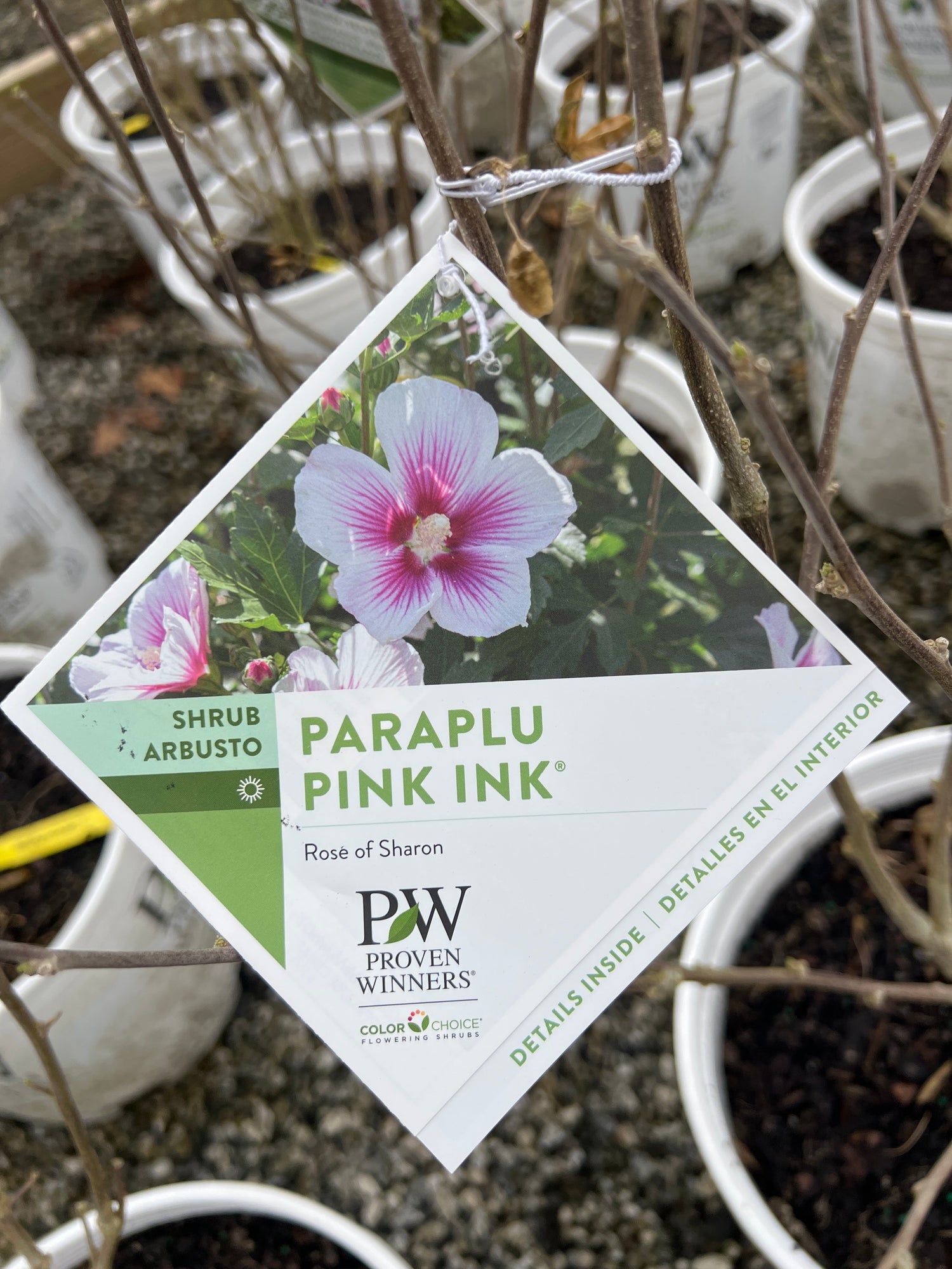 Paraplu Pink Ink Rose of Sharon
