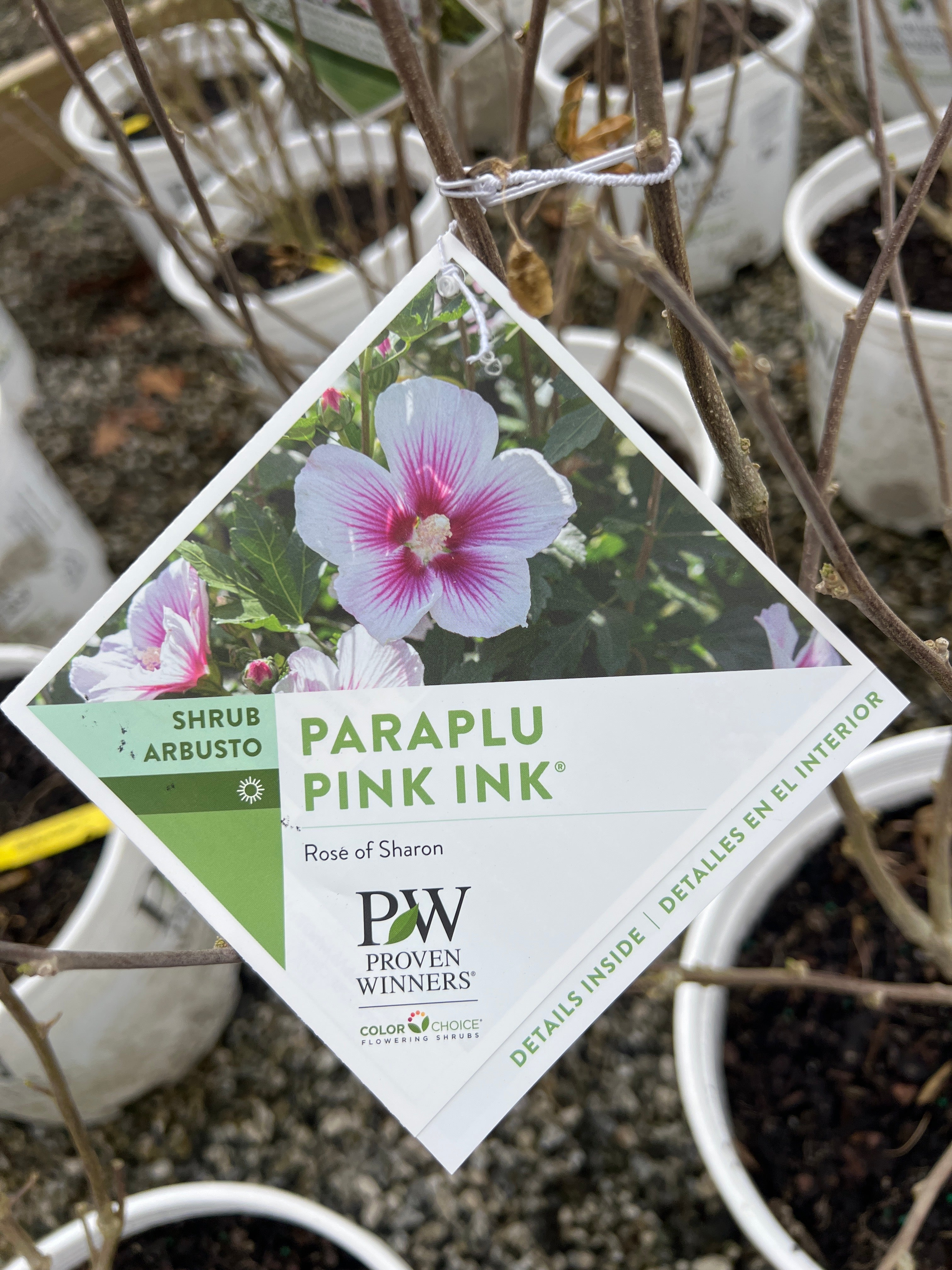 Paraplu Pink Ink Rose of Sharon