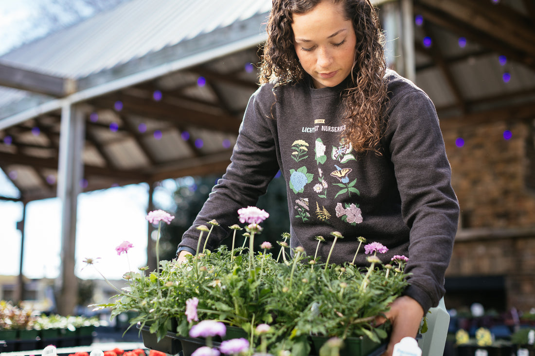 Botanical | Dark Gray | Sweatshirt