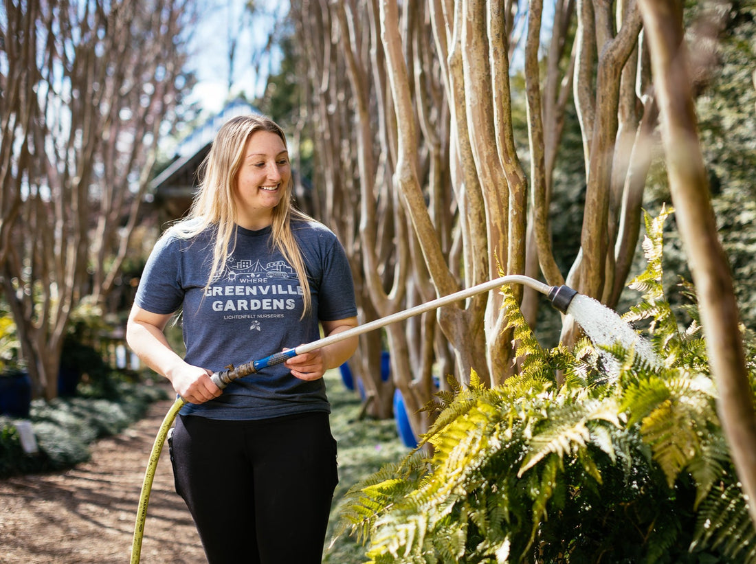 Where Greenville Gardens | Cool Blue | Short Sleeve