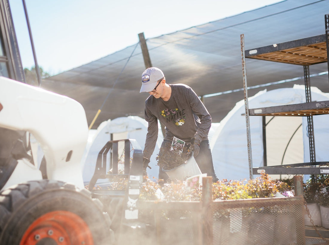 Lichtenfelt’s Dad Cap