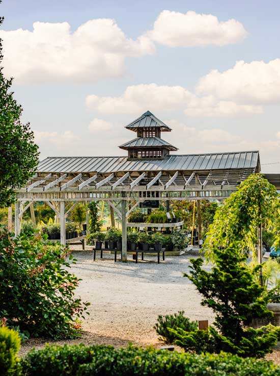 Facilities both in-store and online expanded once again, as the garden was redesigned with additional plantings and sales area. More than 30,000 square feet of shade structures were built over existing greenhouses.