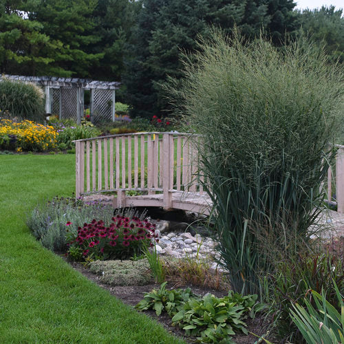 Totem Pole Switch Grass