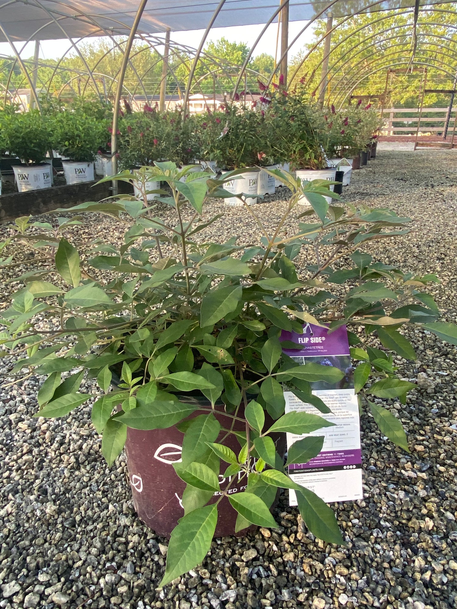 Flipside Vitex 3 Gal