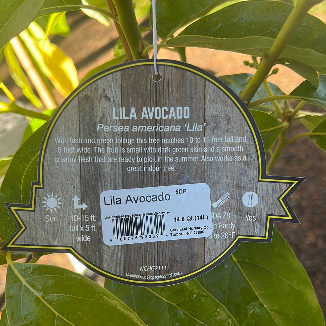 Lila Avocado 5 Gal