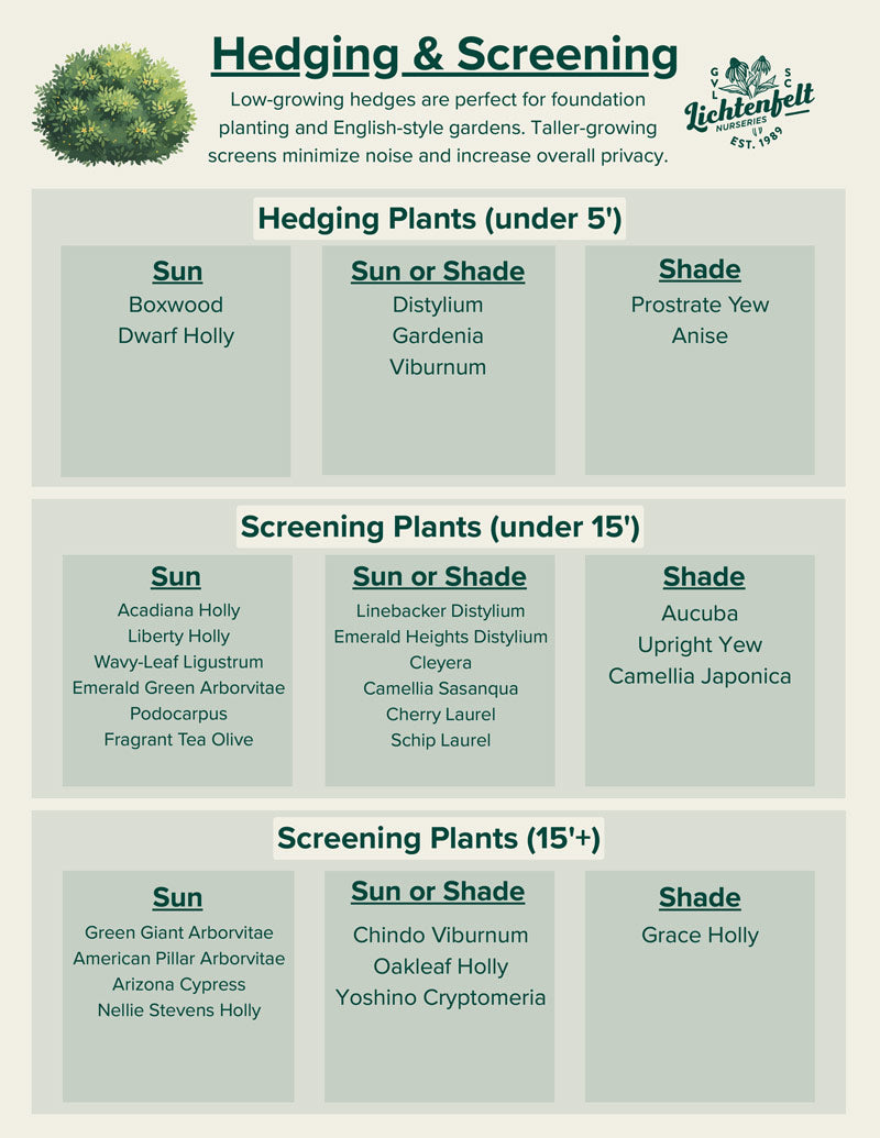 Cost, availability, and common cultivars
