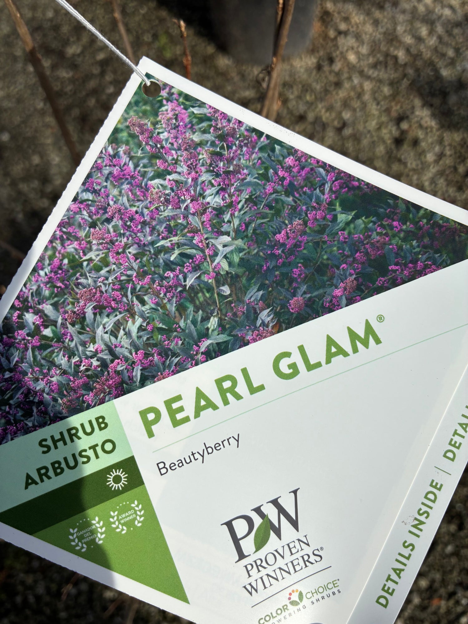 Pearl Glam Beautyberry