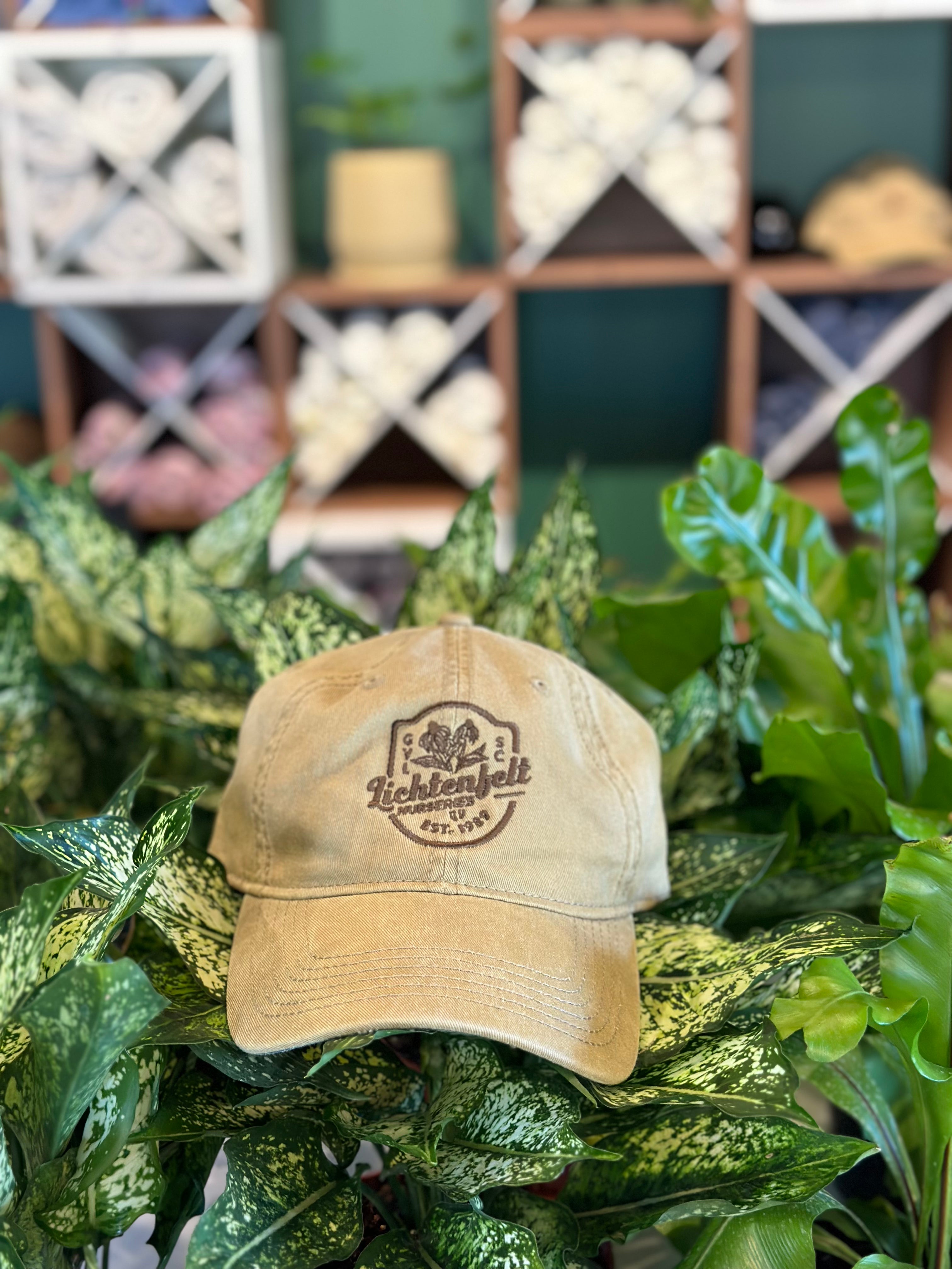 Lichtenfelt’s Hat | Tan Dad Cap