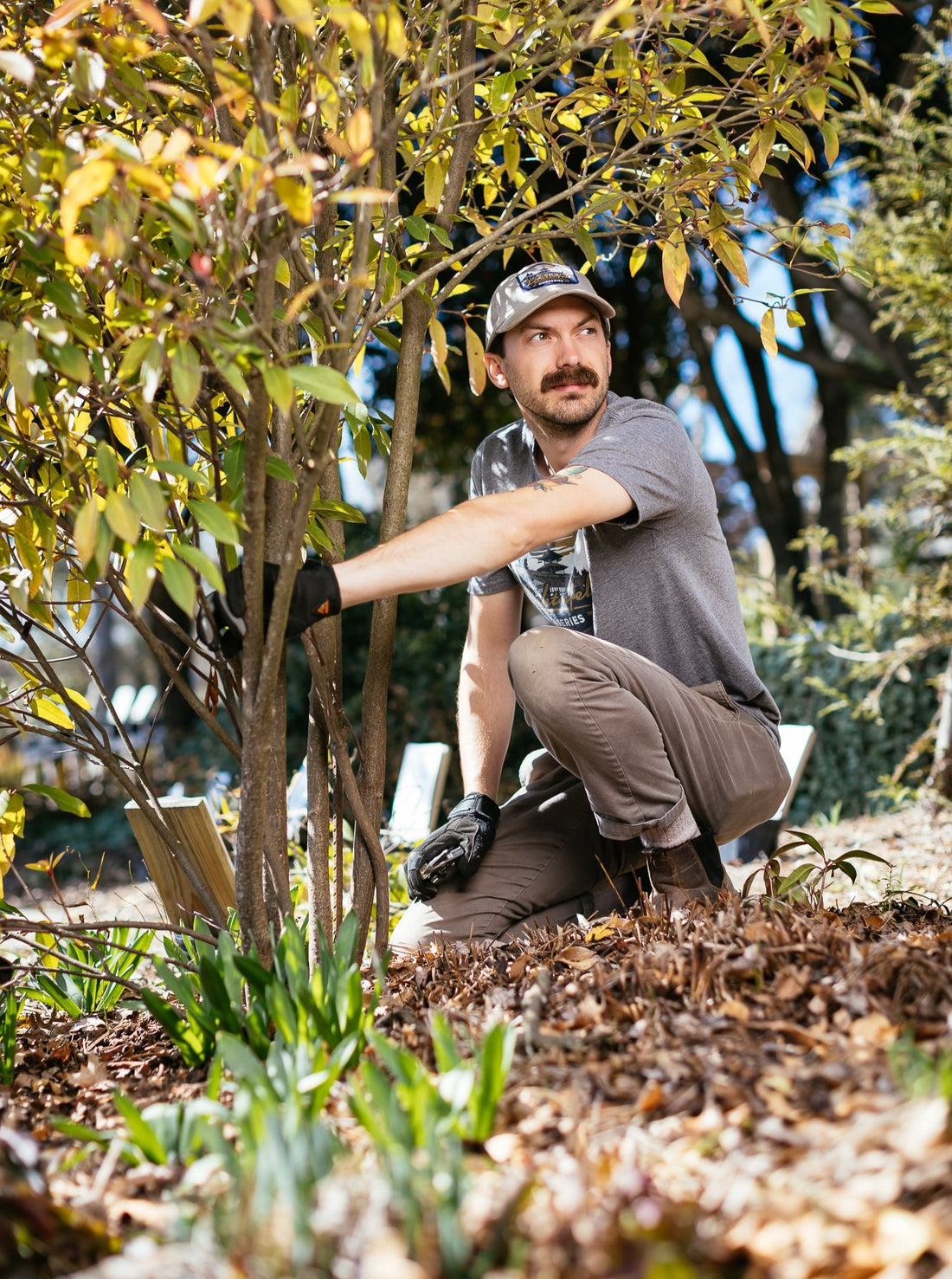 Shed Design | Navy | Short Sleeve