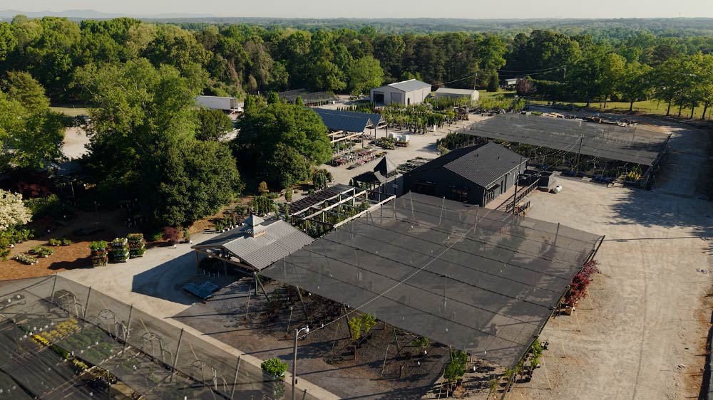 A Five Forks Community Hub