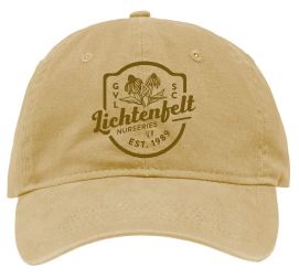 Lichtenfelt’s Hat | Tan Dad Cap